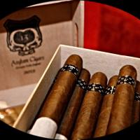 Asylum 13 Corojo Cigar Review