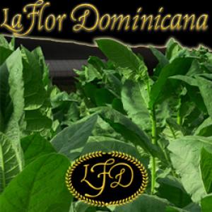 La Flor Dominicana